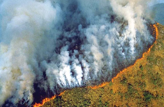 亚马逊雨林被烧.png